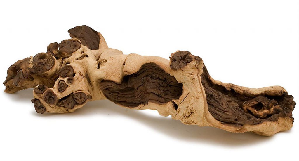 mopani-driftwood-aquascaping